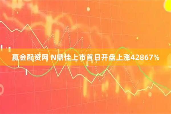赢金配资网 N鼎佳上市首日开盘上涨42867%